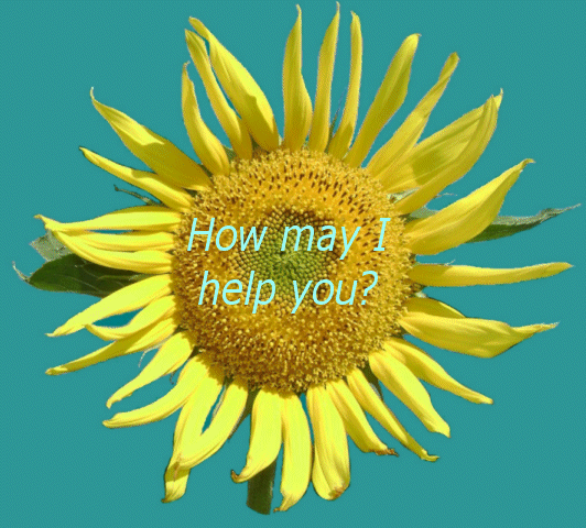 How may I help you?